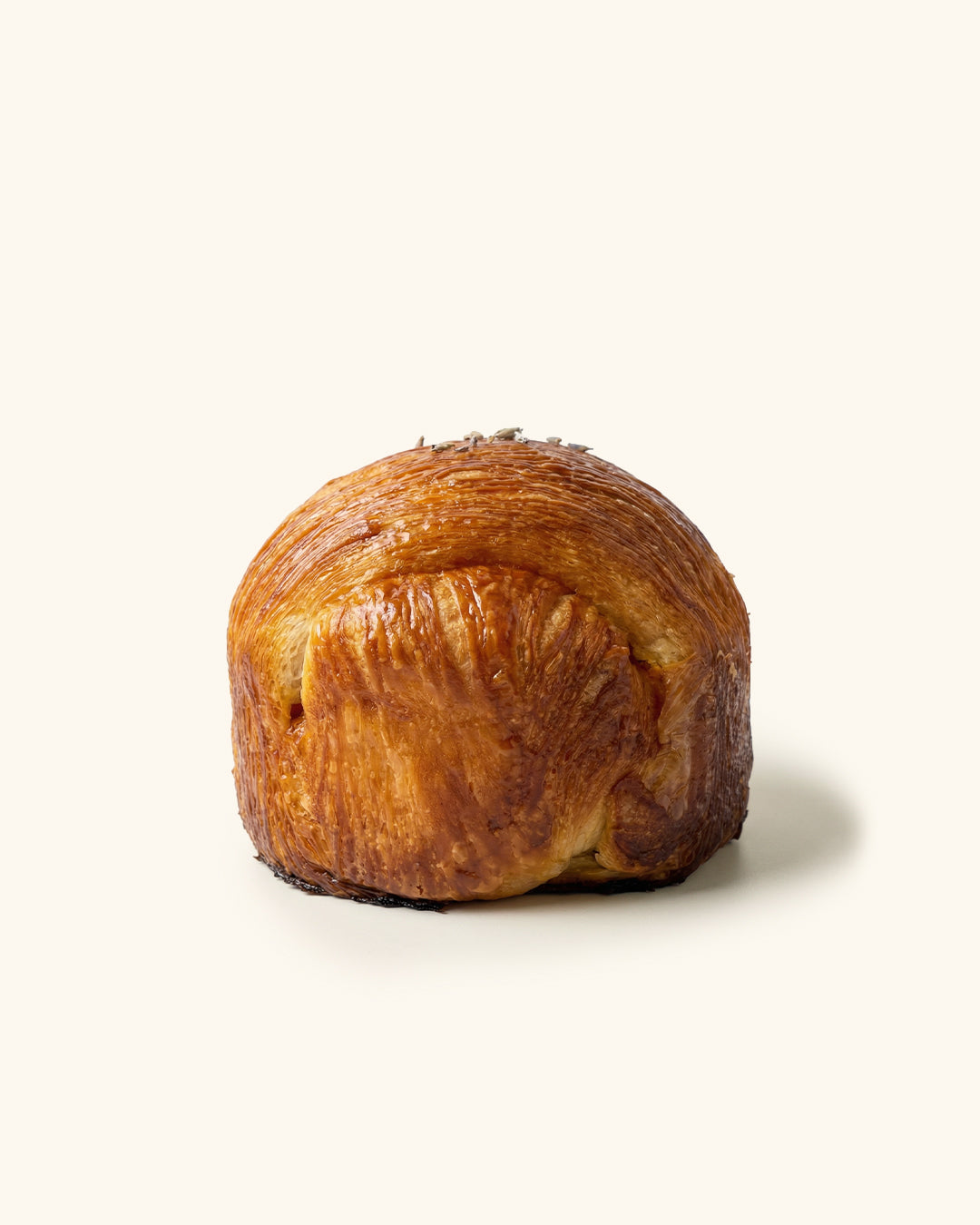 Apricot Croissant
