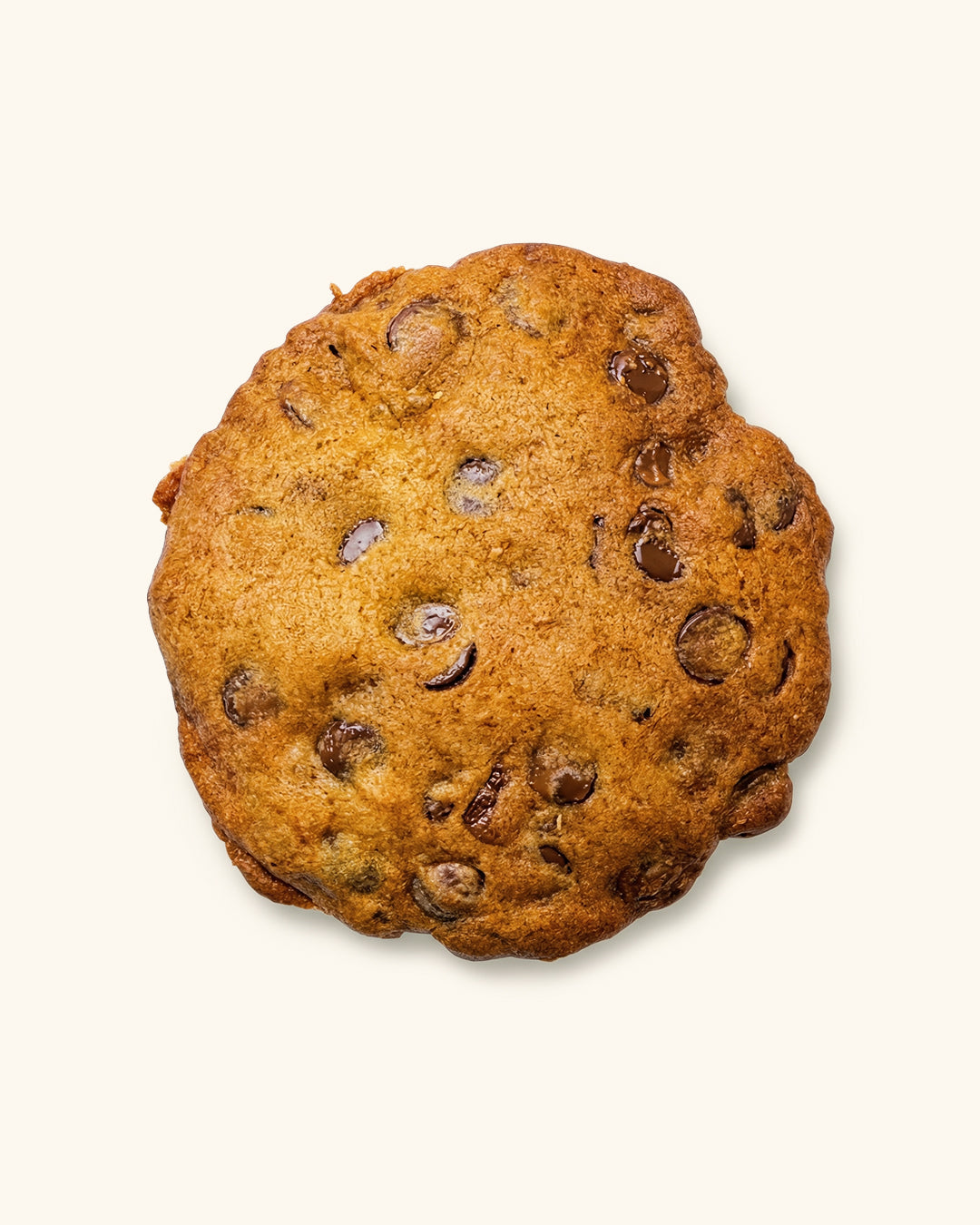 Choc Chip Cookie (Thin)