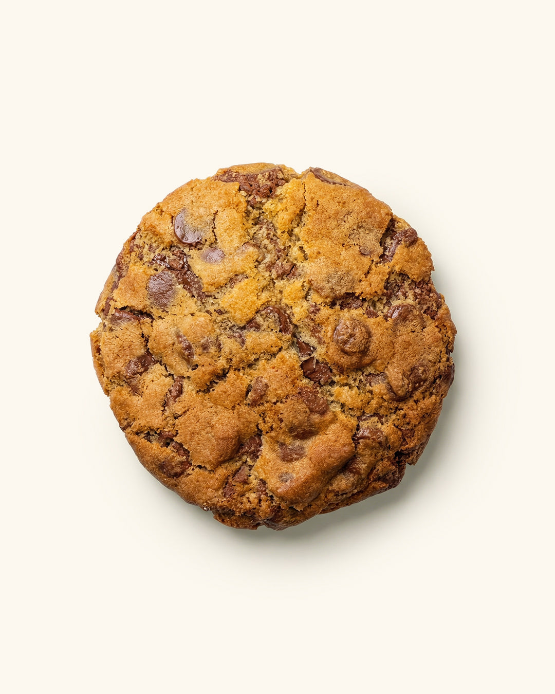 Choc Chip Cookie Signature